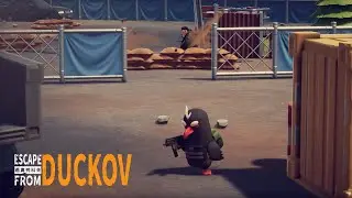 Ambush Like a Pro Duck!