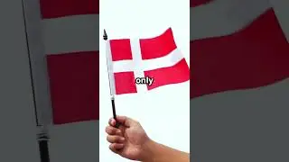 &ldquo;In Denmark, THIS Is the Only Flag You Can Burn! 🇩🇰🔥&rdquo;