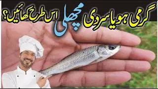 Fish Dum Pukht Recipe Slow Cooked Fish  l The Ultimate Fried Fish Recipe