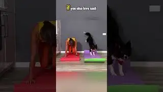 #FitnessPals # #ExerciseTogether #FunFitness and than #shortvideo 😲