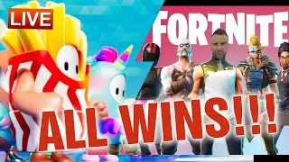 FALL GUYS CROWN WINS AND FORTNITE VICTORY ROYALE WINS