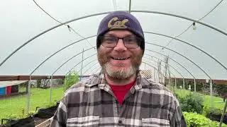 Battling the berries that spread out under the radar - Chapter One