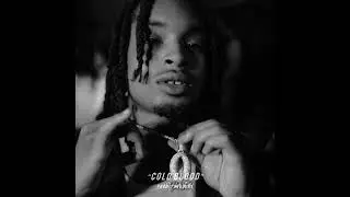 COLD BLOOD | Hard Trap Type Beat | Freestyle Type Beat