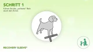 Suitical | Recovery Sleeve | Wie ziehen sie ihrem Hund das an?