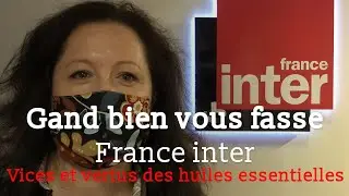 Grand bien vous fasse - Vices et vertus des huiles essentielles - Dr Françoise Couic Marinier