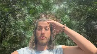 The Weirdness of Becoming Enlightened