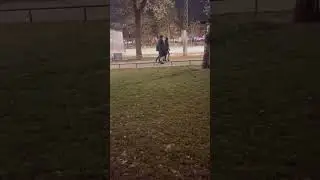 ❄️ Mysig dag i Vasaparken med Loui 🐶⛸️