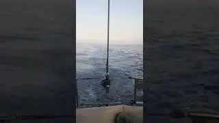 Turkey sy Italy by ship Danki