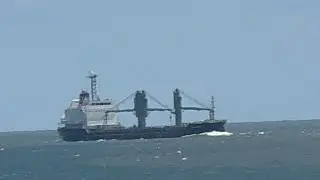 2 cargo ships pulling out and pulling in to Brunswick Port ￼