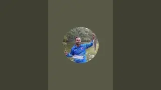 🔴 LIVE Fish Cutting Now | আজ এত বড় মাছ! 😱