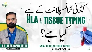 Test For Kidney Transplant | HLA or Tissue Typing For Kidney Transplant | Tissue Typing Kya Hai?