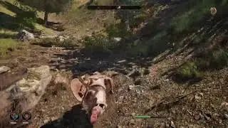 Oblivion ESIV