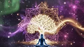 Healing Sleep Music 432Hz 528Hz 444Hz Alpha Wave Frequencies for Deep Sleep 🔴 Live 24/7