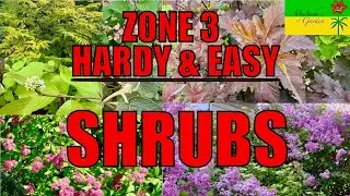 Zone 3:  A guide to hardy shrubs