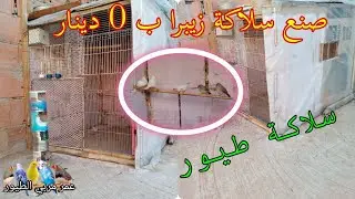 صنع سلاكة متواضعة لطيور الزيبرا 😍🤩