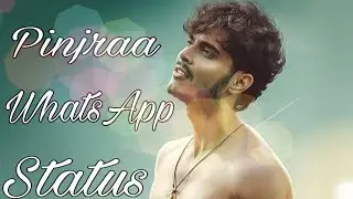 Pinjra WhatsApp Status | Gurnazar BPraak Jaani | Pinjraa Status |