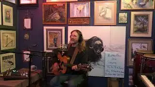 Butterflies Are Singing  - Joe Paulik
