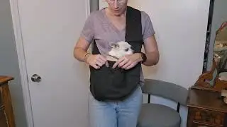Reversible Dog Carrier Sling Purse Review &ndash; Hands-Free Pet Travel Bag for Small Dogs & Cats