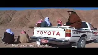Bedouin Camel Race Sinai Desert