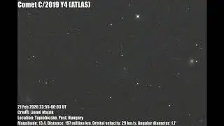 C/2019 Y4 (ATLAS) animation - 21 Feb 2020