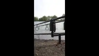 THE DRONE FISH 🐋