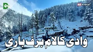 Kalam Valley Latest Snowfall | Swat Snow Latest Updates | Kalam Winter Beauty | کالام برف باری