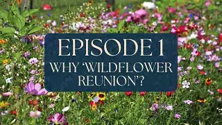 Episode 1 - Why 'Wildflower Reunion'?