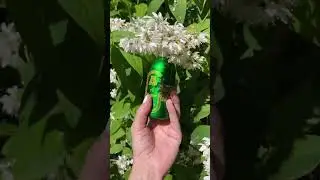 Attar collection - аромат похожий на путешествие #духи #парфюм #attarcollection