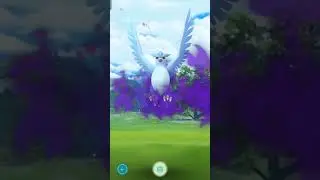 First Try and it's a Shadow Shiny Articuno!