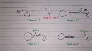 Mapleson Circuit | Anaesthesia Circuit (Breathing circuit) NEET PG