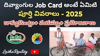 &ldquo;Divyang Employment Card Full Details | Eligibility, Documents, Benefits & Apply Process