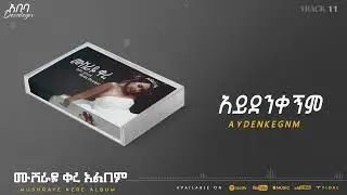 Abeba Desalegn - Aydenkegnm - አይደንቀኝም _ Collection | Track 11 (Official Audio)