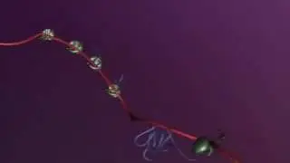 Polyribosome Animation