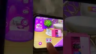 Cute little fluffy pets