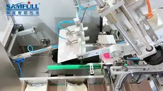Milk powder gusset bag packing machine+boxing