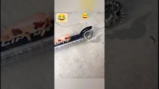 Memes &eacute;picos: cerdo en fuga con scooter #shorts #memes #pig #patins