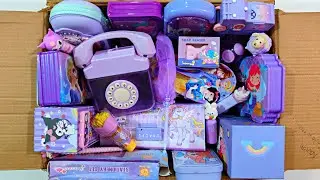 Surprise Purple Stationery Collection - Sipper Bottle, Pencil Box, Erasner, Princess Kit, Sharpener