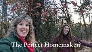 The Perfect Homemaker? - The Fallacy of Perfection