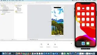 Почему не запускается Launch Screen? Xcode 11