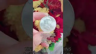 Circulated vs Uncirculated vs Proof Coins #coinstore