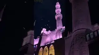 Birds flying over blue mosque Istanbul