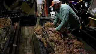 Northern Flight vs YakGear Duck Blind Review H12 Kayak