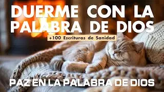 Salmos poderosos y Promesas de dios despiertan descanso real. Descansa.