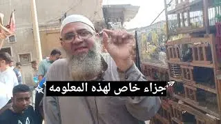 انهيار في بعض الطيور الفينش وارتفاع بعض الطيور مع ابو حبيبه