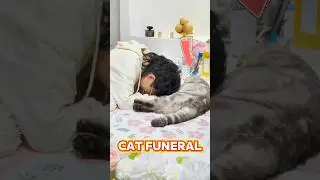 A sad cat funeral that will make you cry
