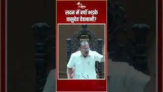 Rajasthan Assembly: सदन में क्यों भड़के Vasudev Devnani? | Budget Session 2024 | BJP Vs Congress