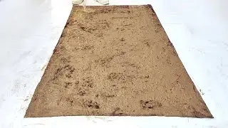 Ultimate Tutorial on ASMR Cleaning: Step-by-Step Rug Refresh