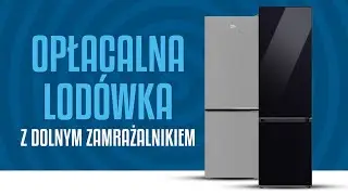 Ranking Lodówek z dolnym zamrażalnikiem - TOP 3 polecanych modeli