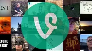 All My Vines From Before Vine Died (2014 - 2016)