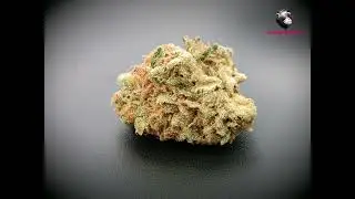 AG EPIC DROP BY DEMECAN